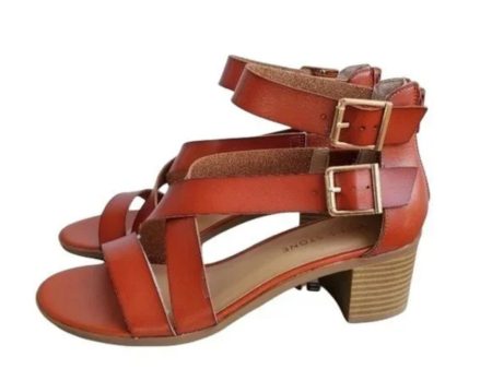 SUN STONE Womens Brown Strappy Open Toe Block Heel Buckle Sandals Shoes M Discount